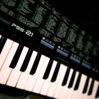 Casio PSS 21